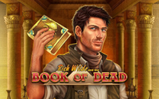 Игровой автомат Book of Dead Игровой автомат Book of Dead