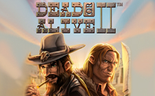 Игровой автомат Dead Or Alive 2 Игровой автомат Dead Or Alive 2